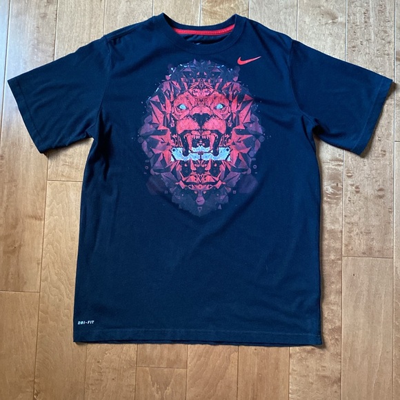 Nike Lebron Kids Youth T-Shirt 2 pack Sz XL - Picture 3 of 15